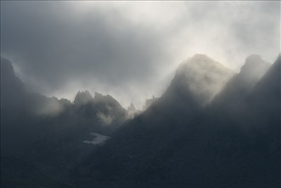 Actors in nature's theater